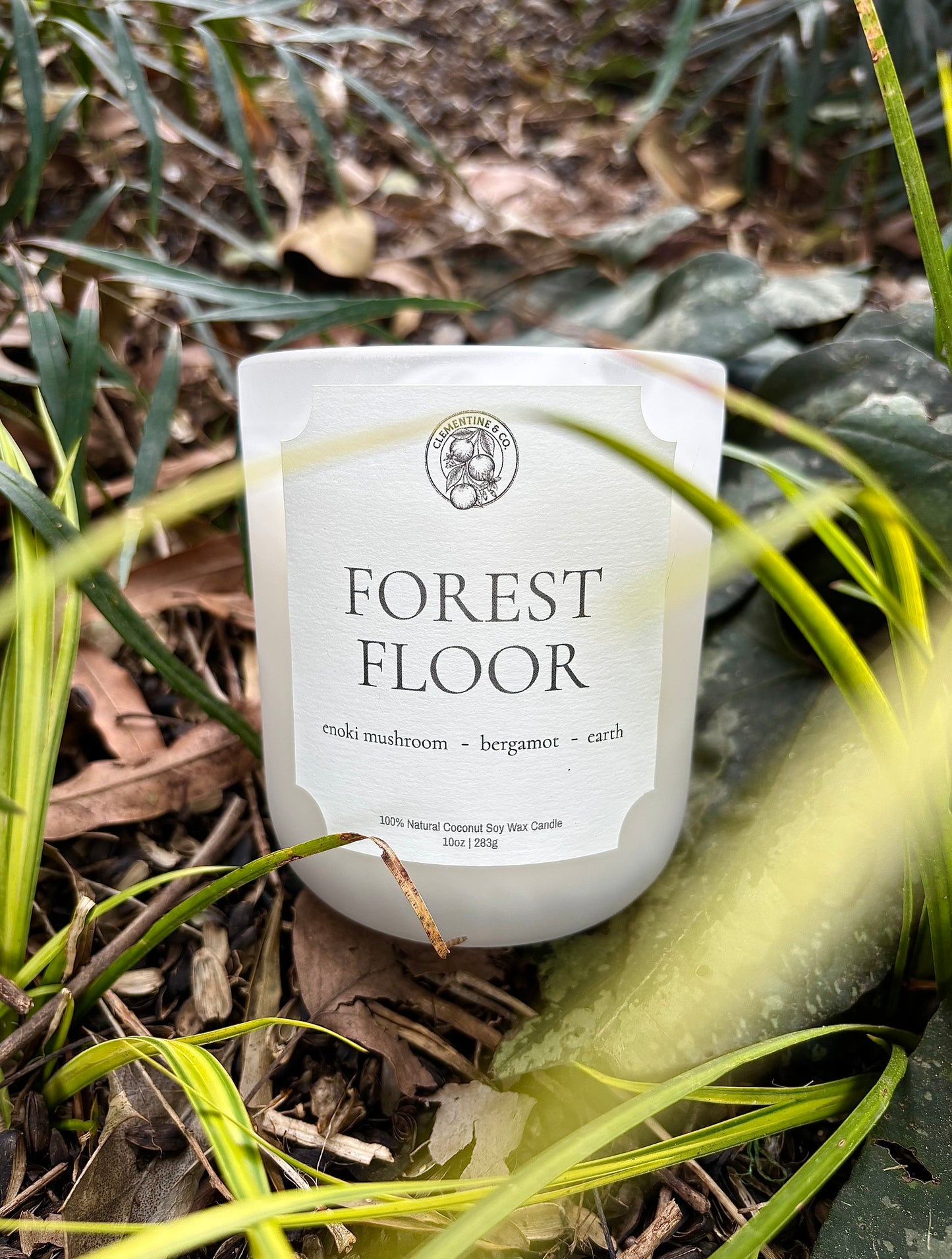 Forest Floor