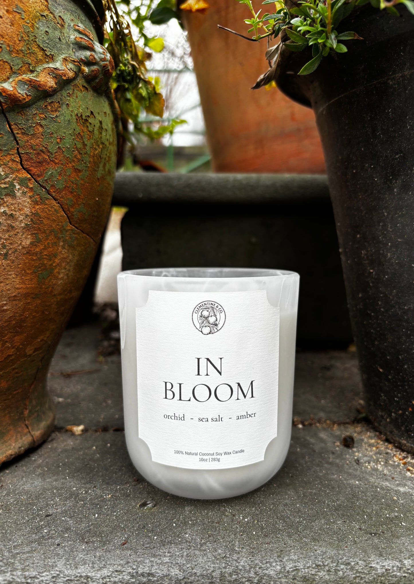 In Bloom