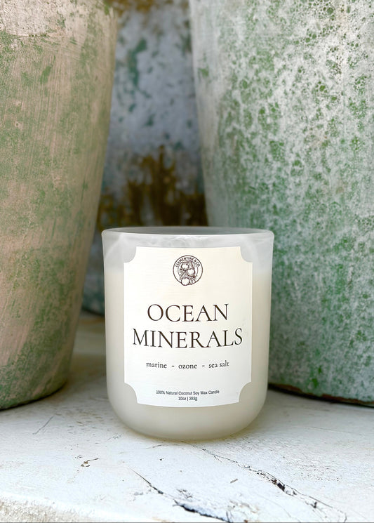 Ocean Minerals