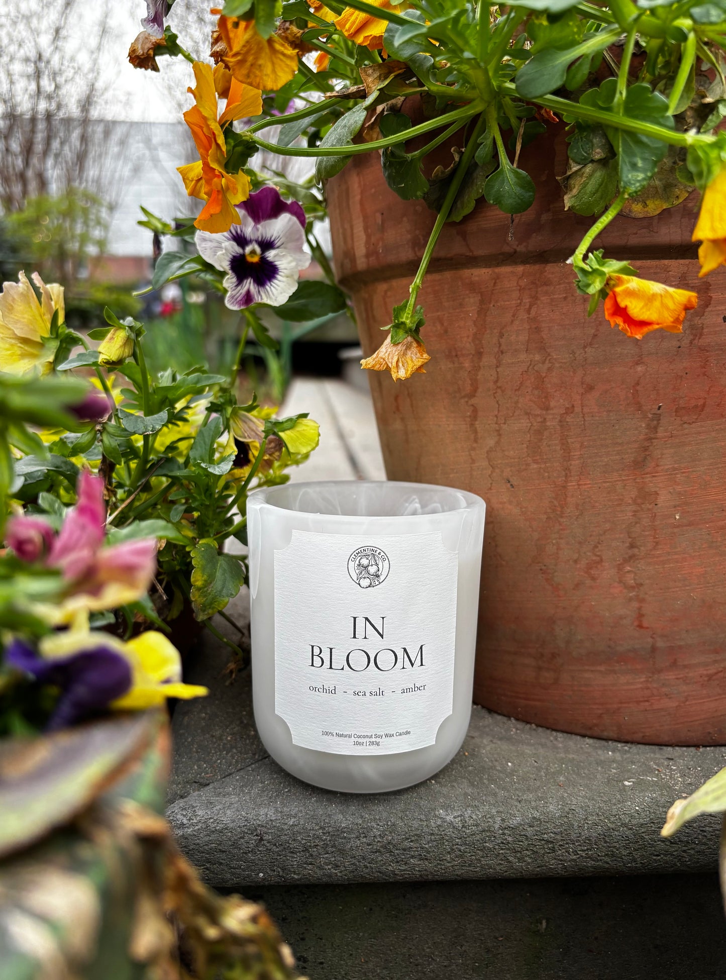 In Bloom